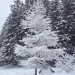 Appartement Mountain Studio, Lenzerheide