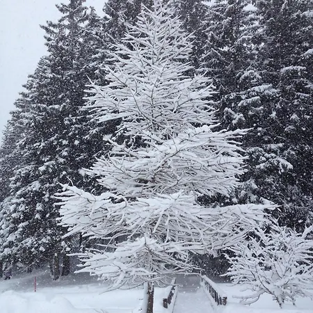 Appartement Mountain Studio, Lenzerheide