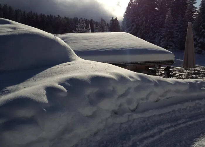 Mountain Studio, Lägenhet