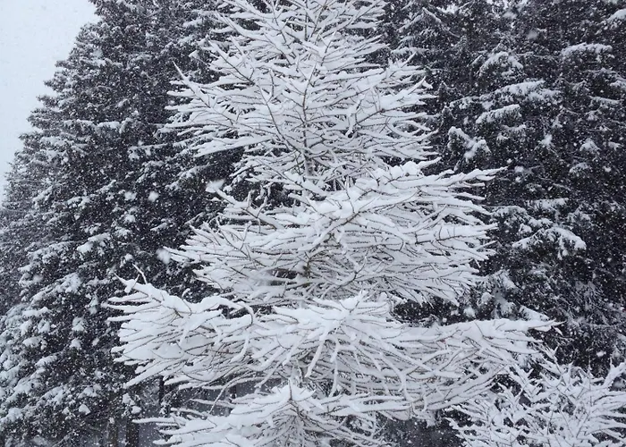 Lägenhet Mountain Studio, Lenzerheide