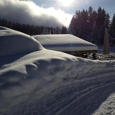 Mountain Studio, شقة